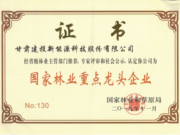 甘肅建投新能源公司喜獲第四屆“中國林業(yè)產(chǎn)業(yè)創(chuàng)新獎”及“國家林業(yè)重點龍頭企業(yè)”稱號